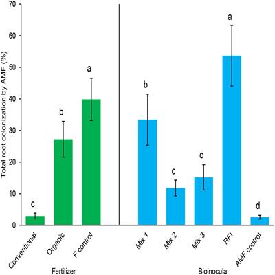 Arbuscular mycorrhizae influence raspberry growth and soil fertility under conventional and organic fertilization